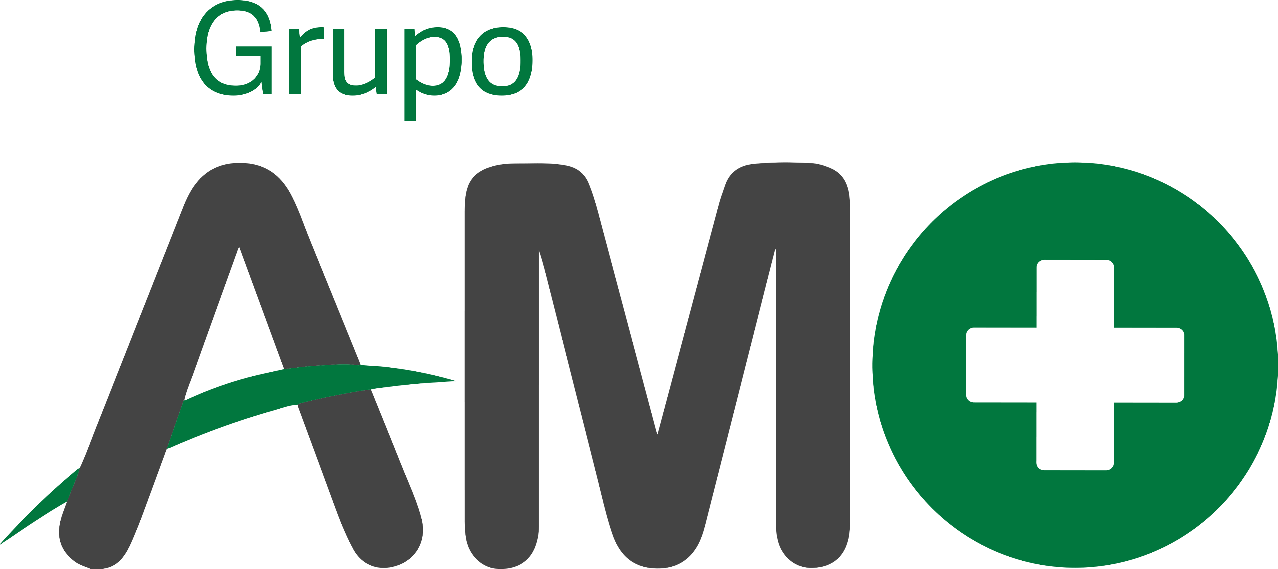 AMO - ASSESSORIA MÉDICA OCUPACIONAL